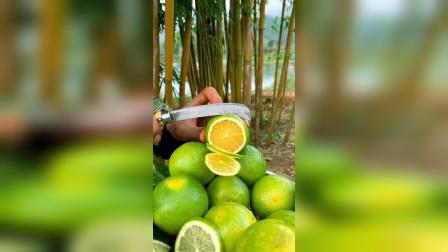 平湖最新資訊，城市脈動與成長見證