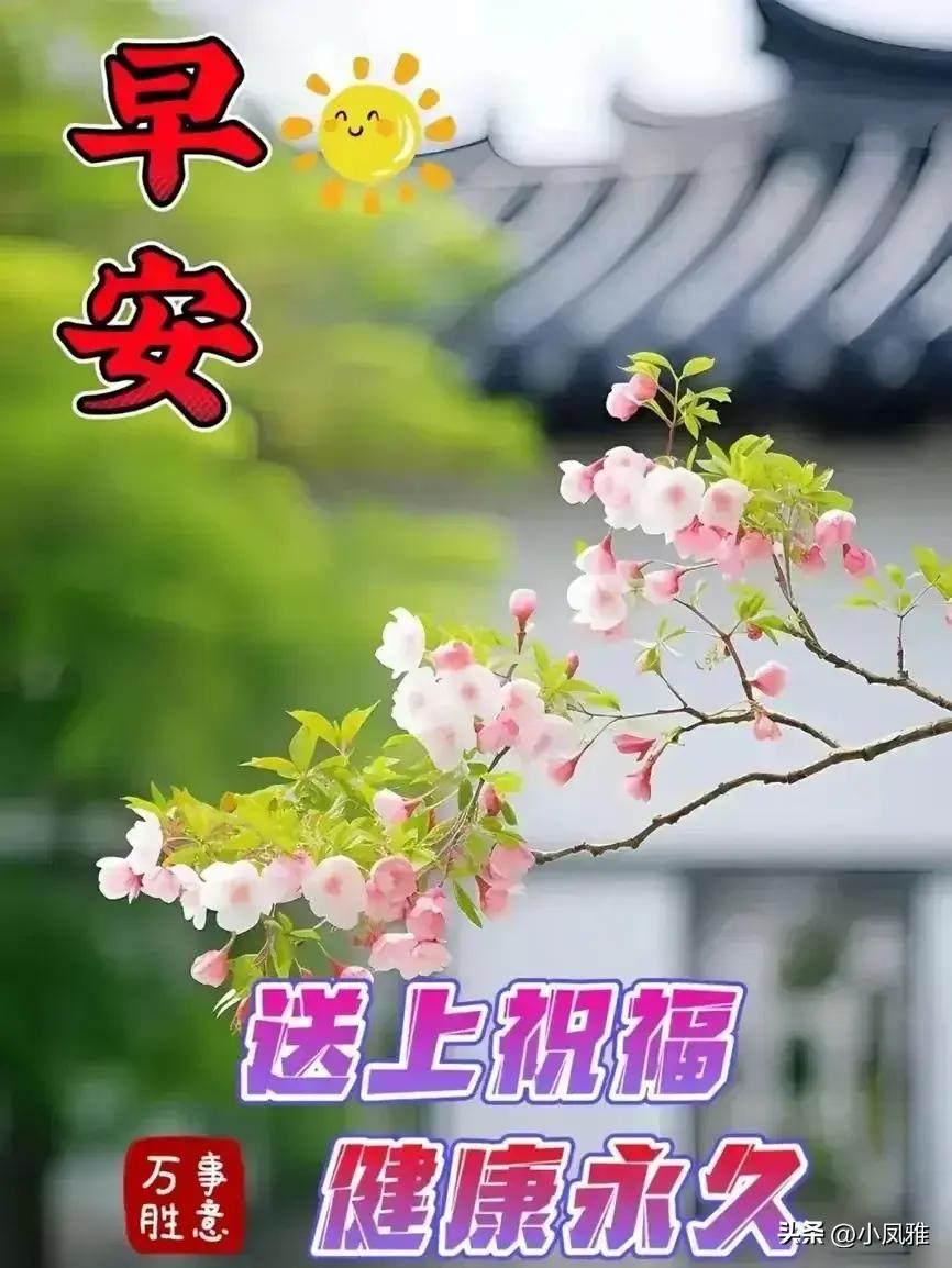 ＂2024年天天彩資料免費大全＂的：專業(yè)數據解釋設想_防御版9.86