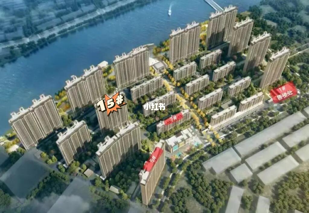 阜寧帝逸國際最新信息一覽，概覽與詳述
