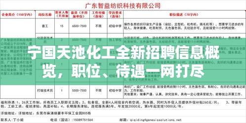 寧國白班最新招聘信息，職業(yè)繁榮與機(jī)遇在時代背景下的展現(xiàn)