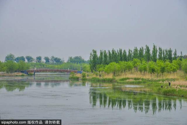 北京馬家灣濕地公園，巷弄綠意與隱秘特色小店探秘
