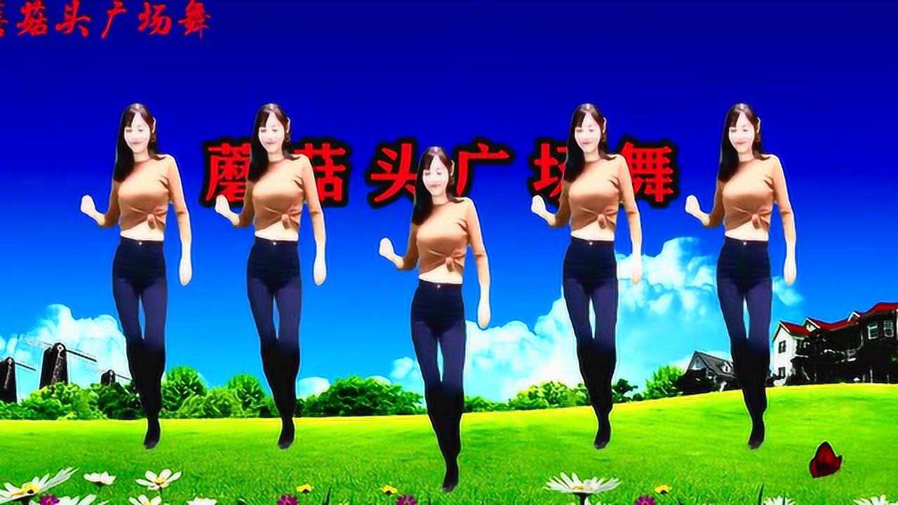 隨風(fēng)飄舞最新廣場舞，舞動(dòng)自信，展現(xiàn)生活力量