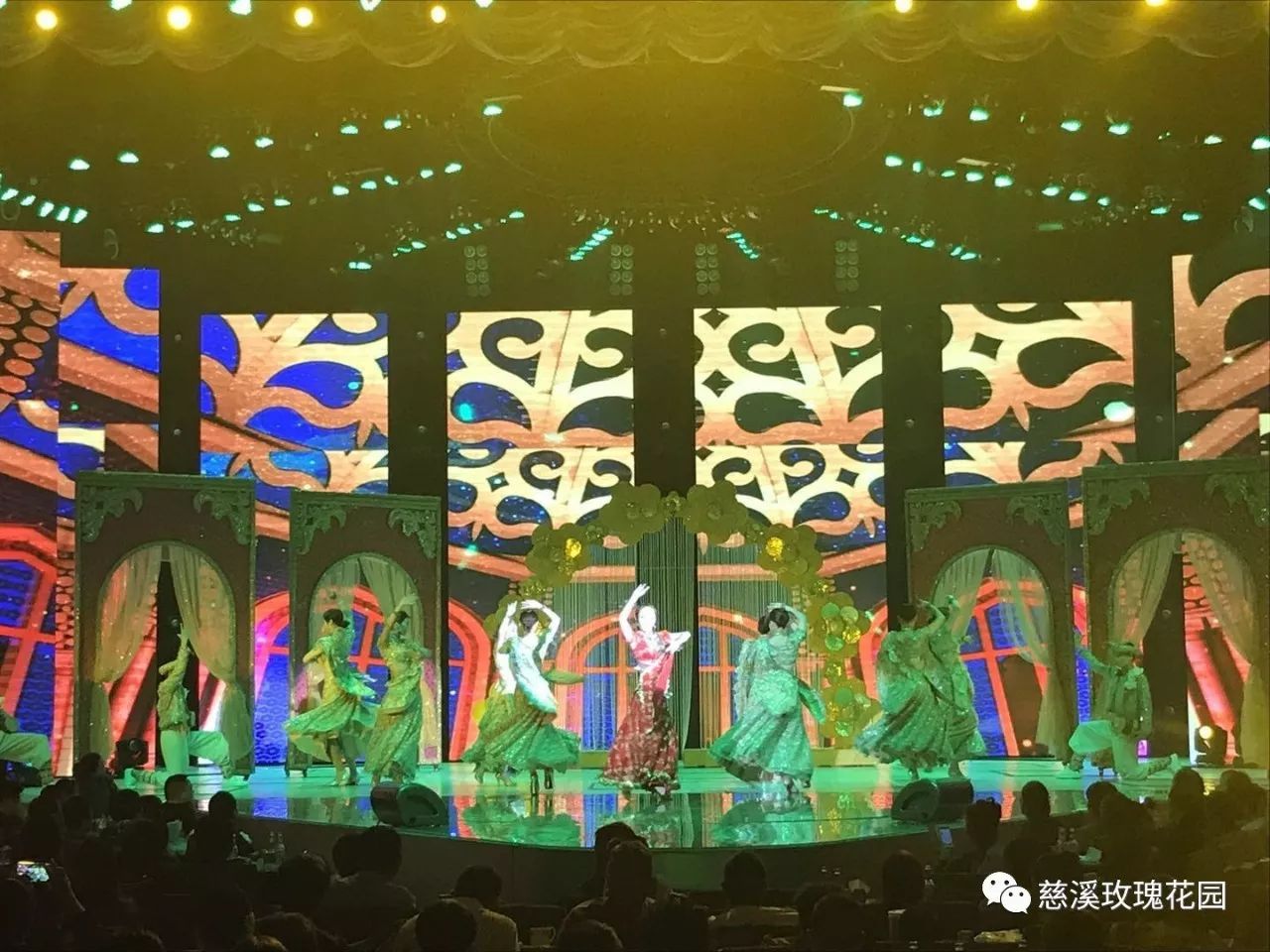 慈溪玫瑰花園最新視頻，綻放的玫瑰盛世美景