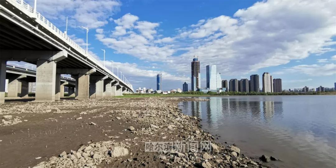 哈爾濱松花江最新水位深度觀察與解析報告